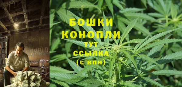 стафф Карпинск