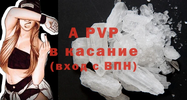 стафф Карпинск