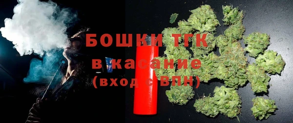 стафф Карпинск